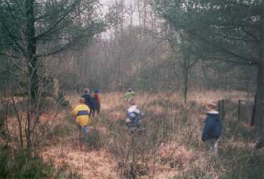 we houden van een boswandeling vooral in de herfst